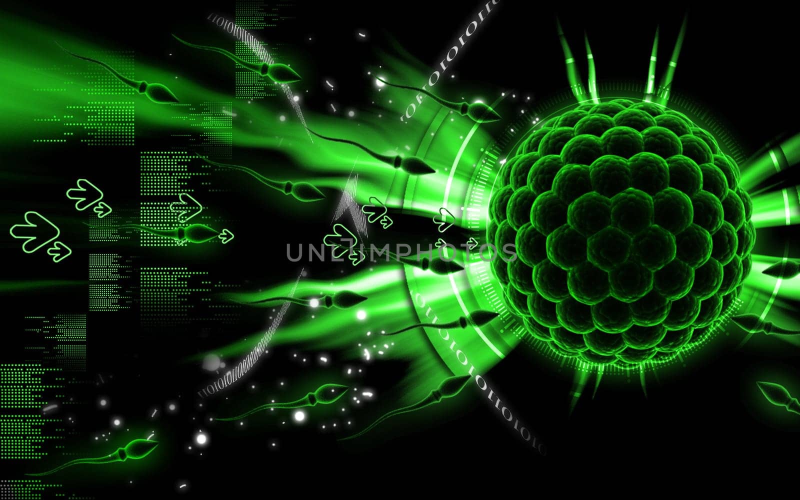 Digital illustration of Sperm and Egg in colour background