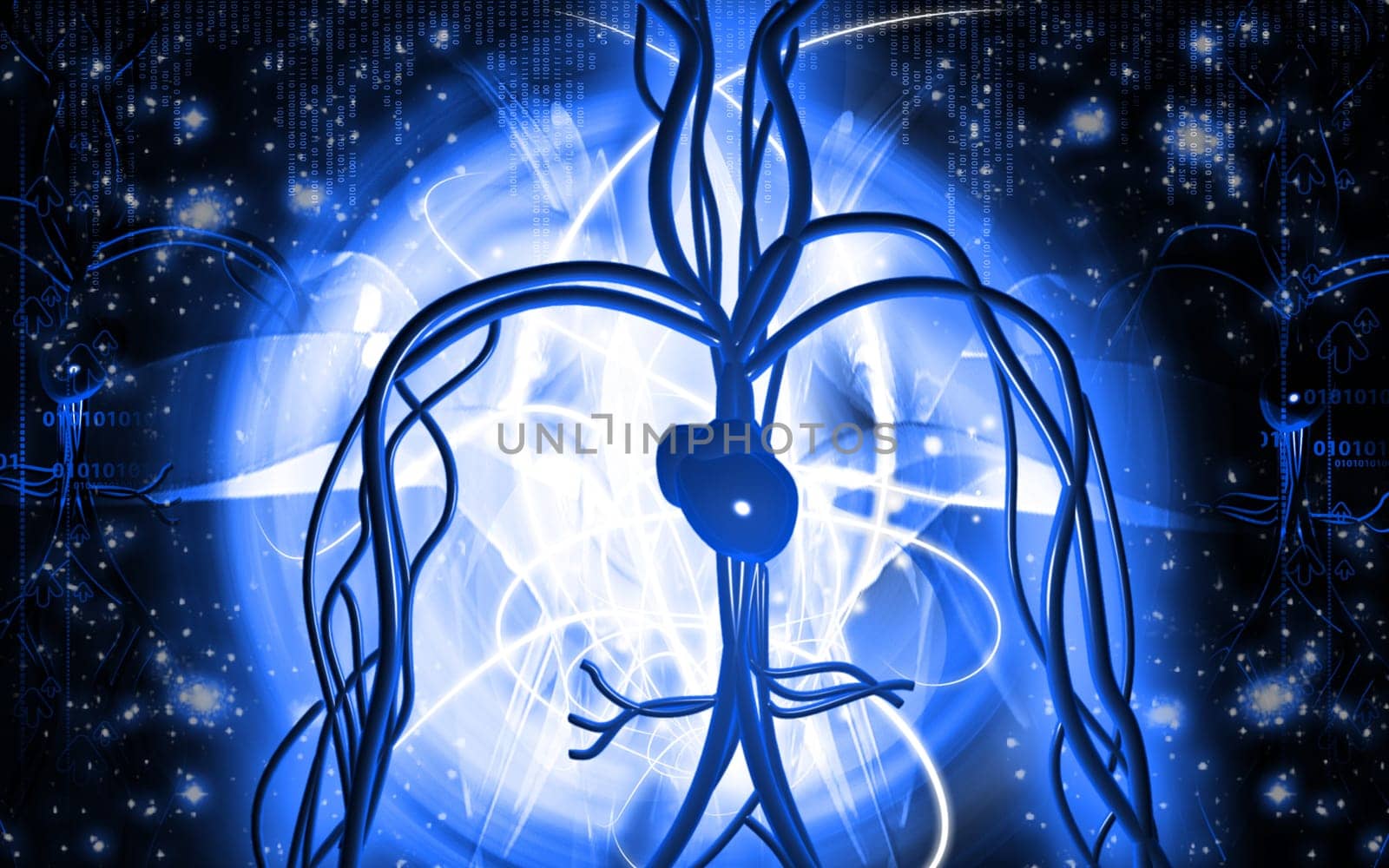 Digital illustration of vascular system in colour background