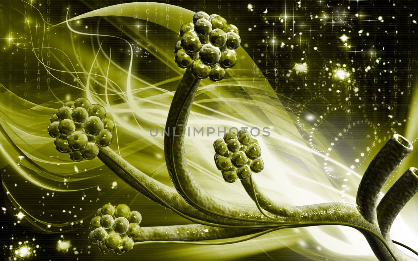 Digital illustration of alveoli in colour background