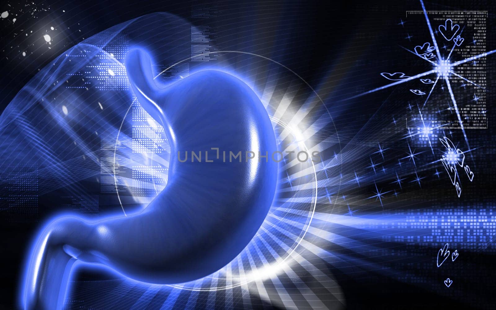 Digital illustration of stomach in colour background