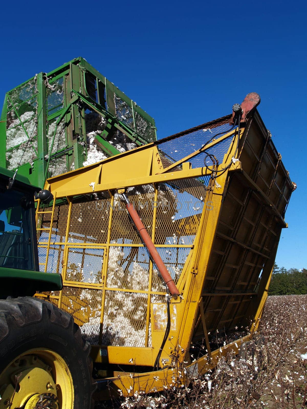 A cotton picker is dumping the load into the boll buggy.