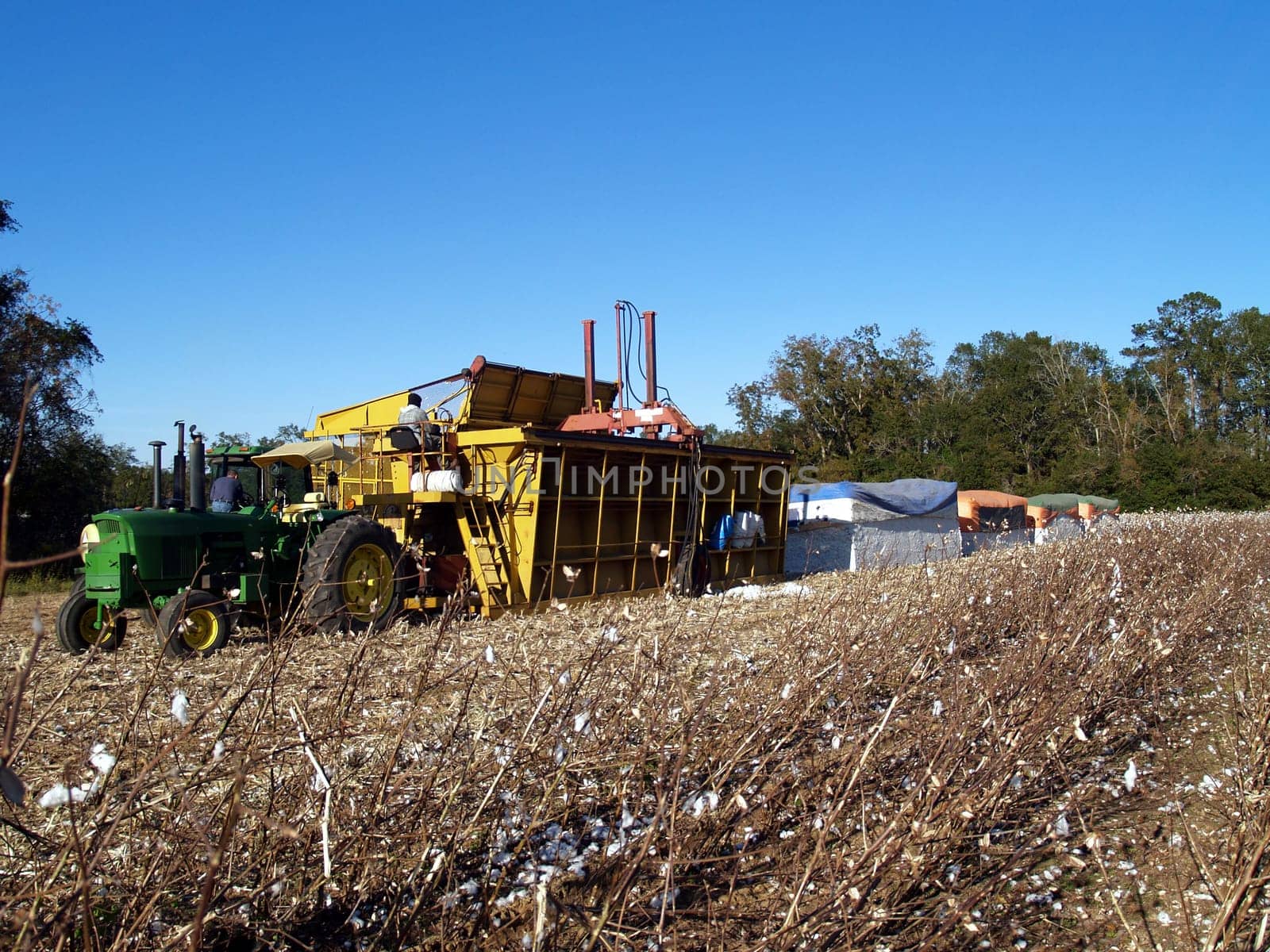 Work site on a farm complete with modules, module builder, boll buggy and tractor.