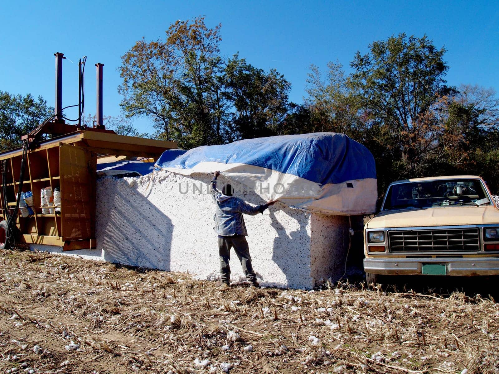 Farmer covering the newly made cotton module.