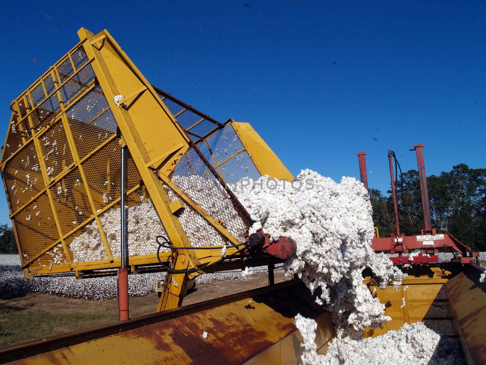 A load of cotton being dumped from a boll buggy.