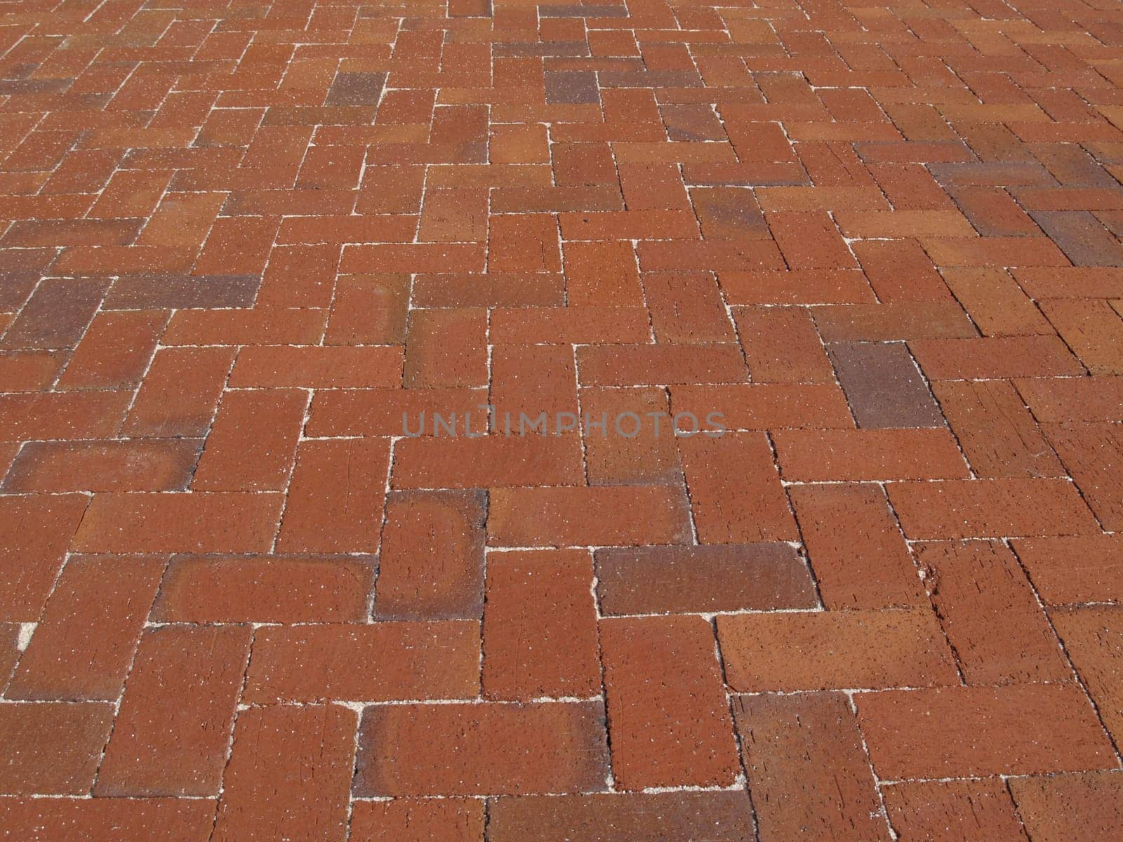 Multi-colored Red brick sidewalk laid in a herringbone pattern.