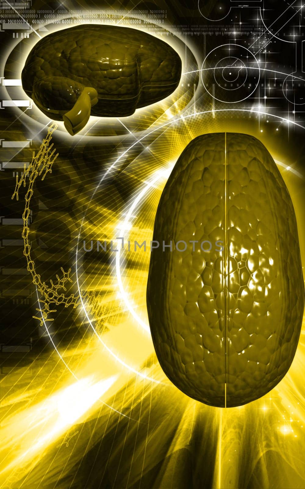 Digital illustration of brain in colour background