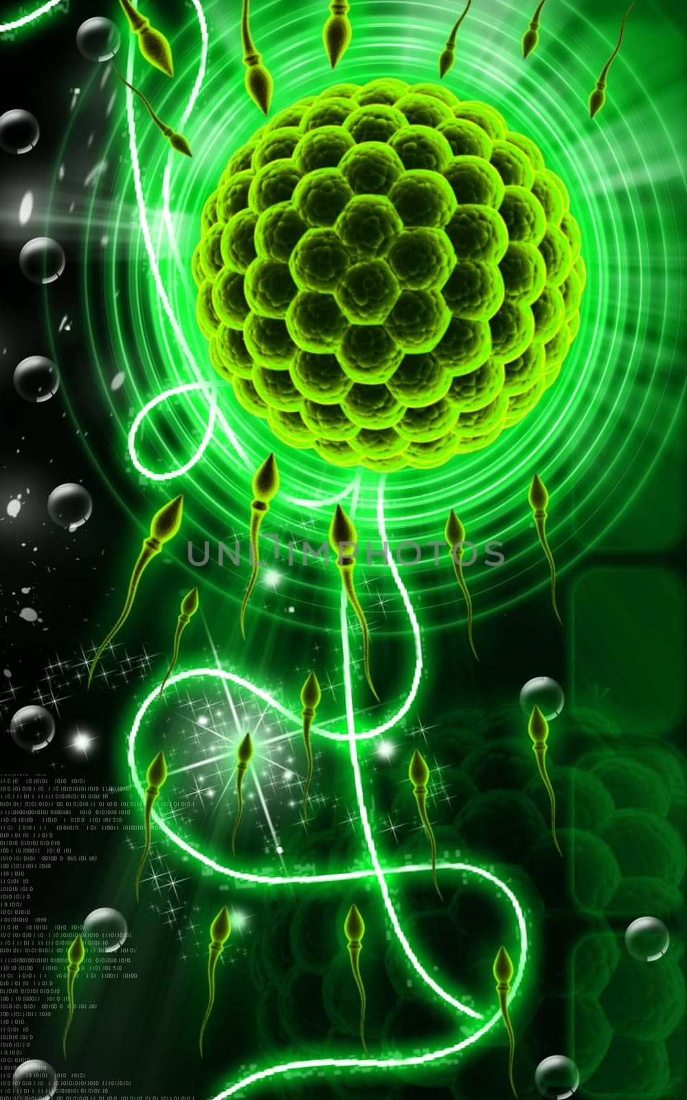 Digital illustration of Sperm and Egg in colour background