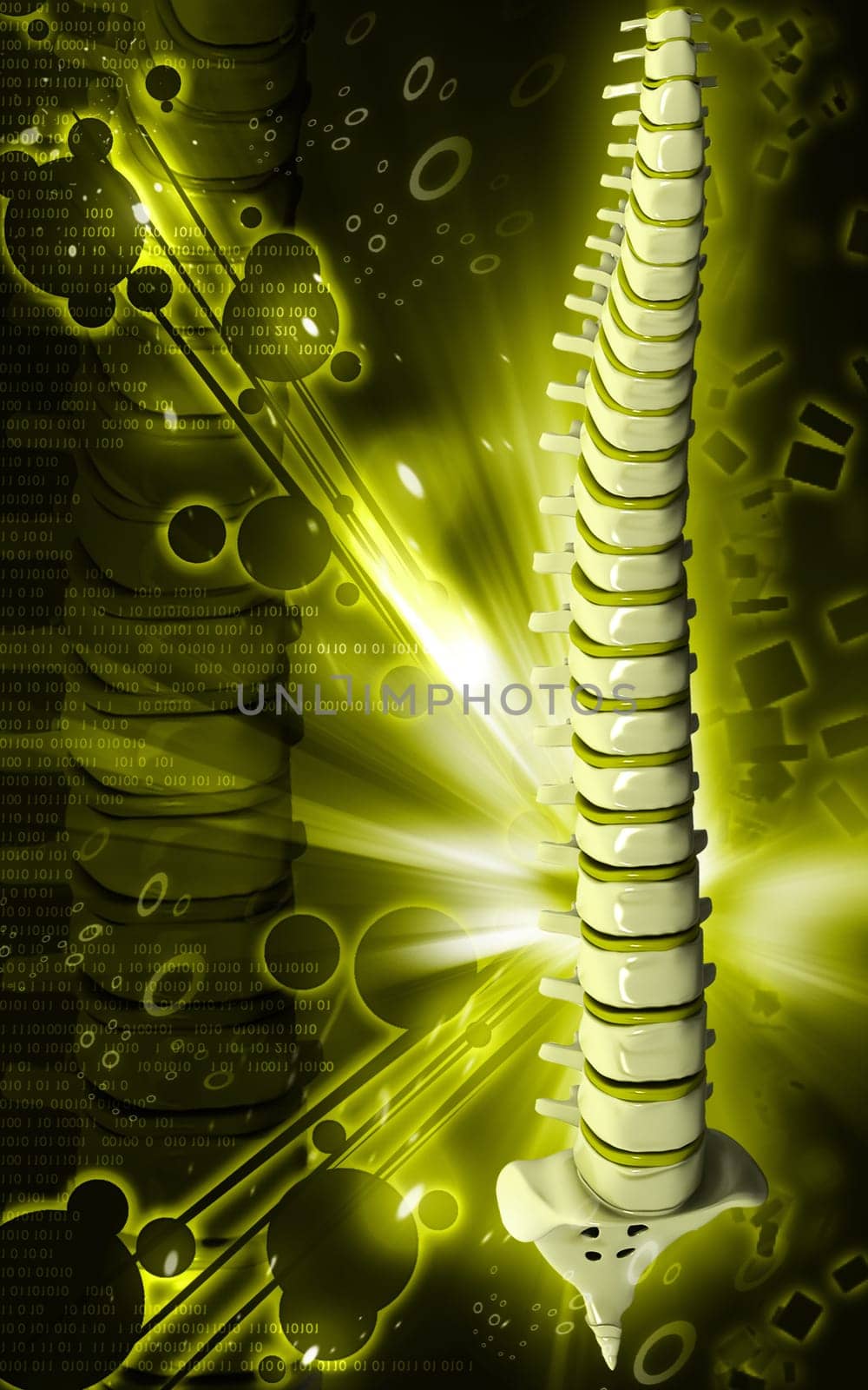 Digital illustration of back bone in colour background