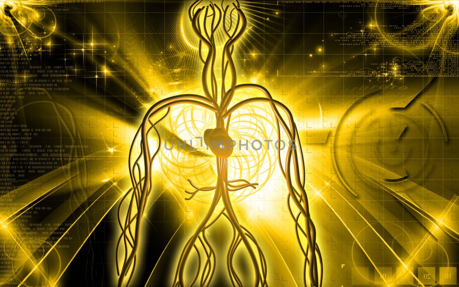 Digital illustration of vascular system in colour background
