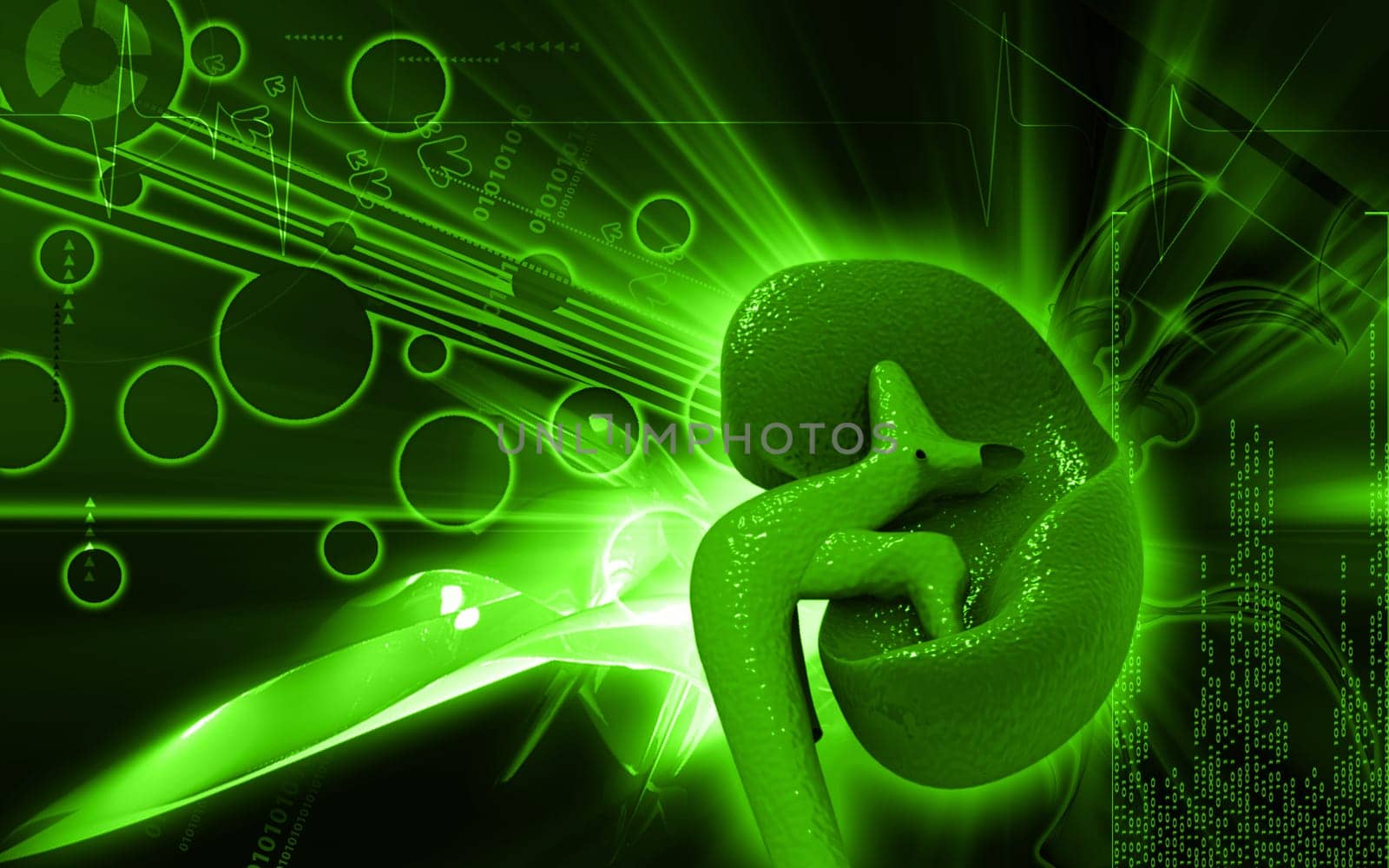 Digital illustration of kidney in colour background