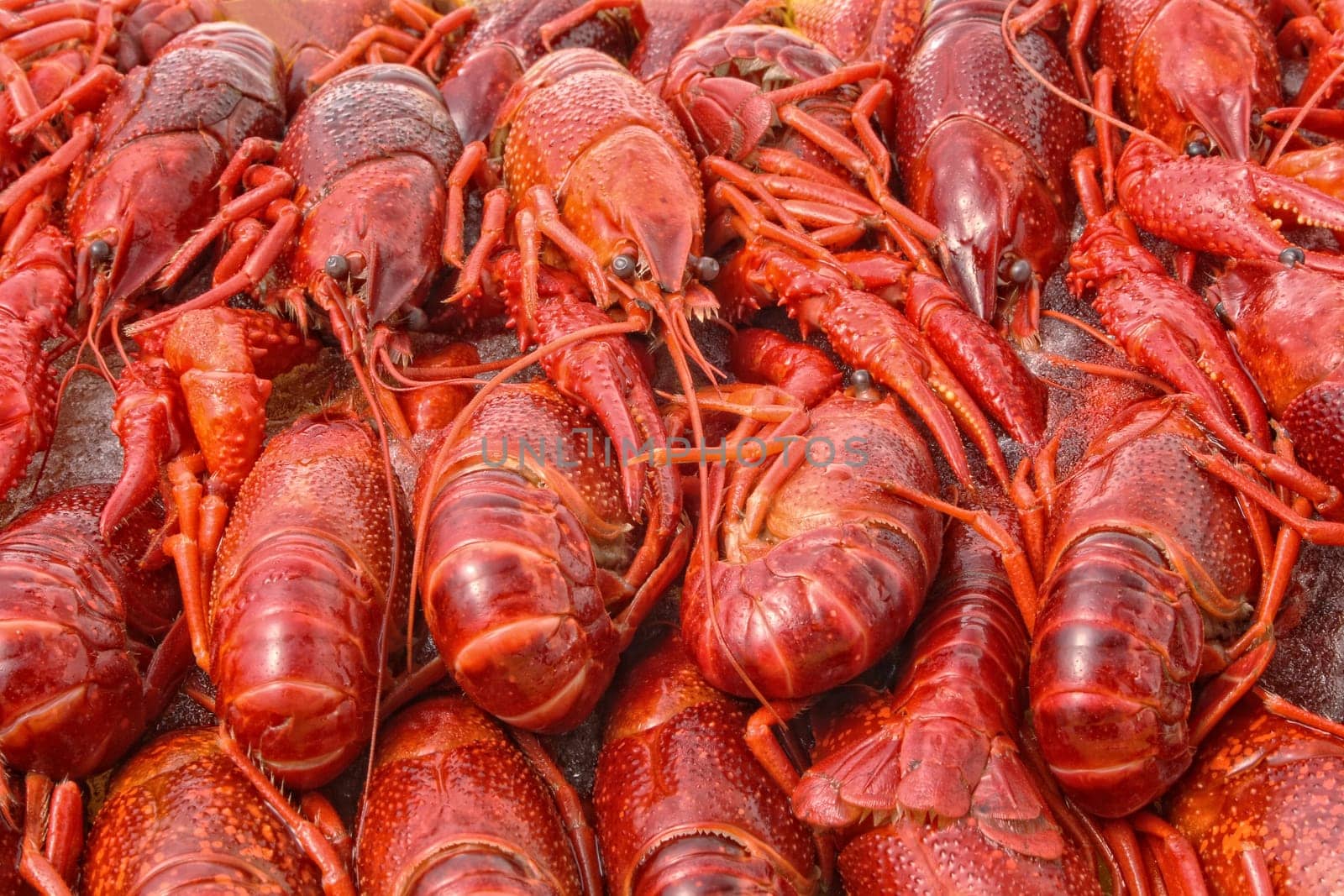 crayfish cooked in the dish served on ice