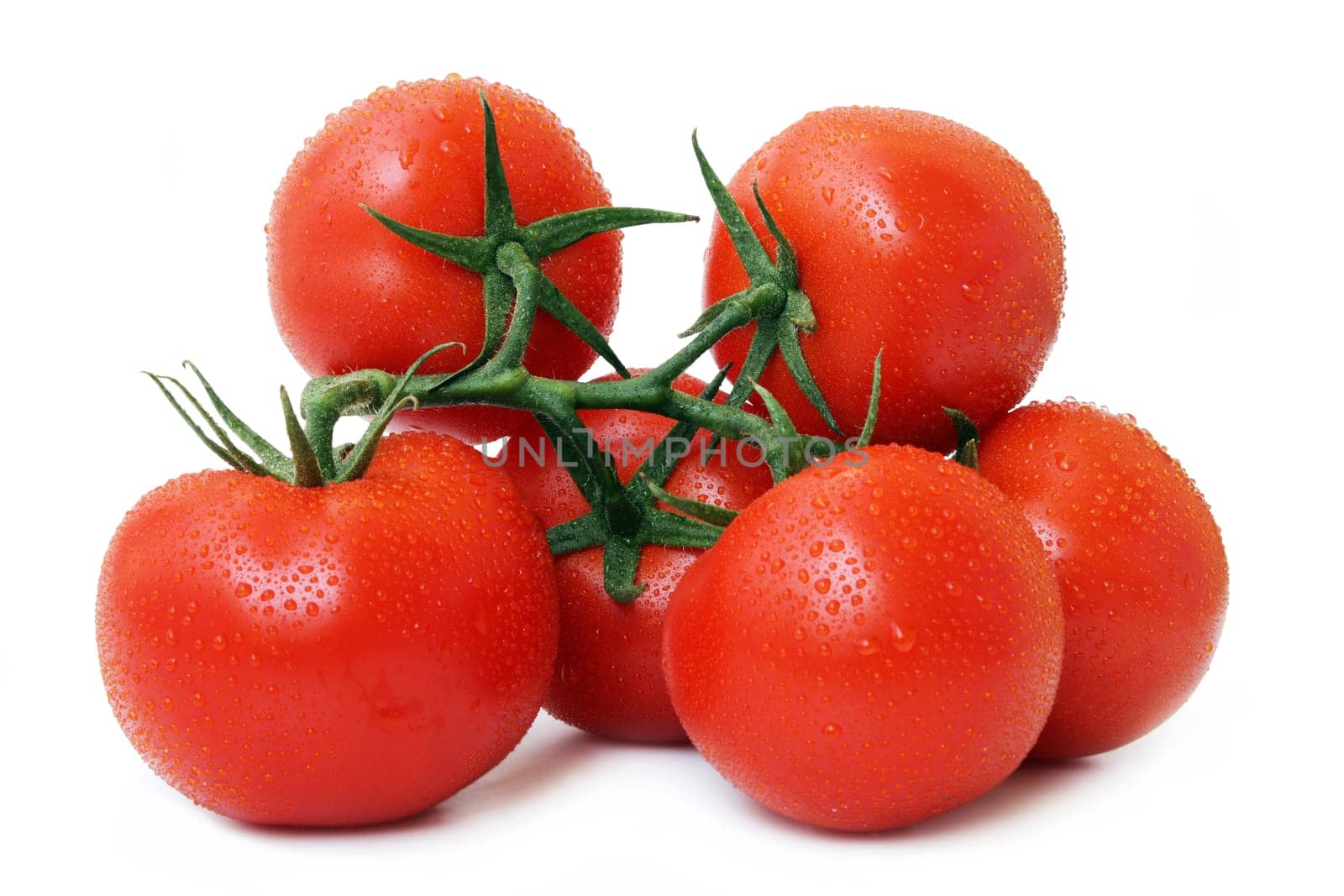 Tomatoes on white background