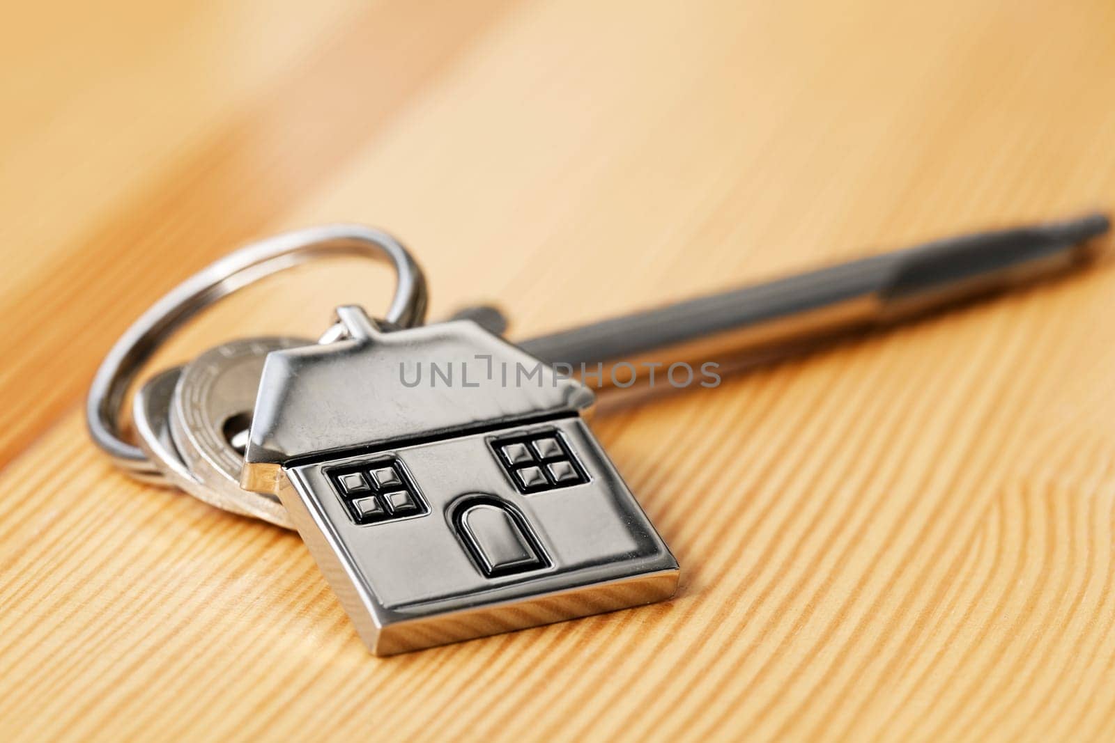 Door key with house pendant