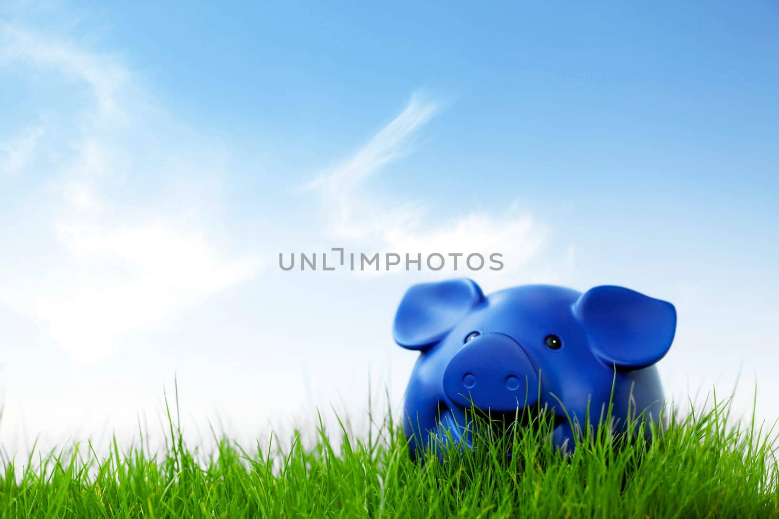 Piggy bank on the meadow with blue sky