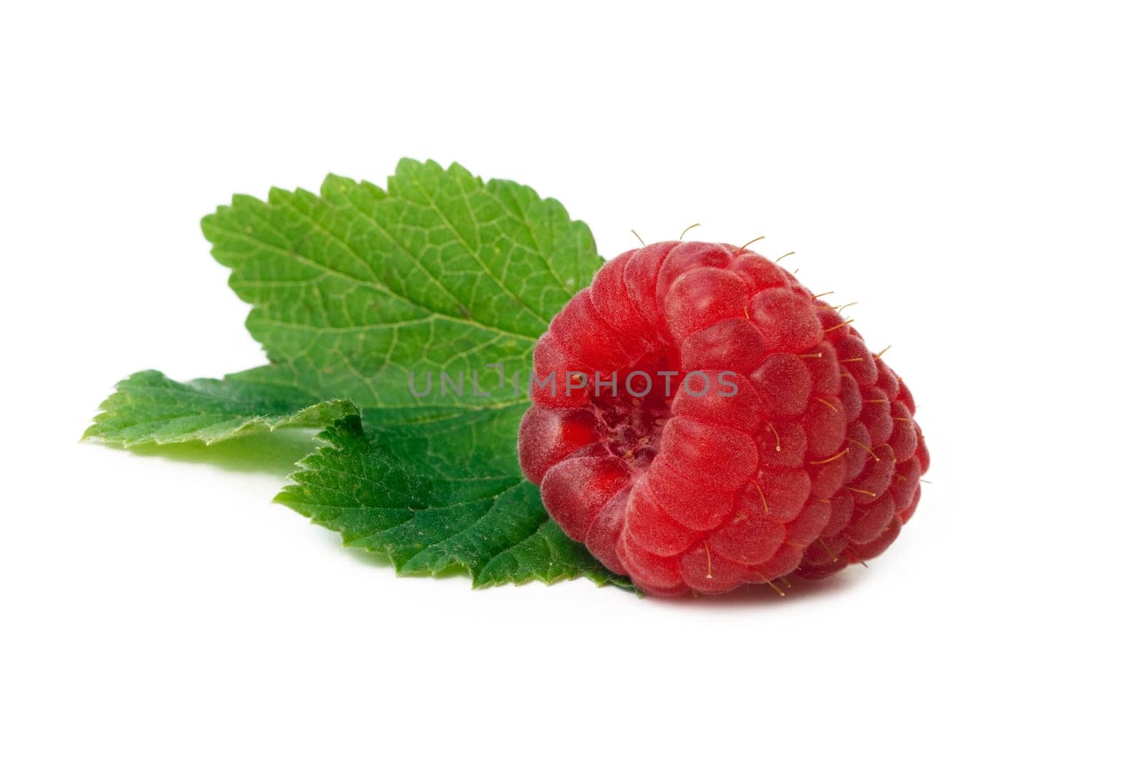Raspberry with mint isolated on white