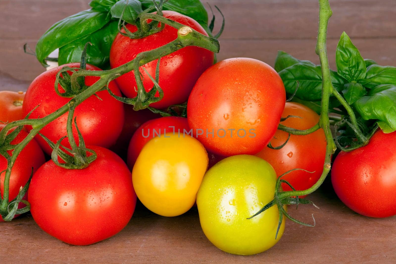 Fresh tomatoes and basil on garden table
