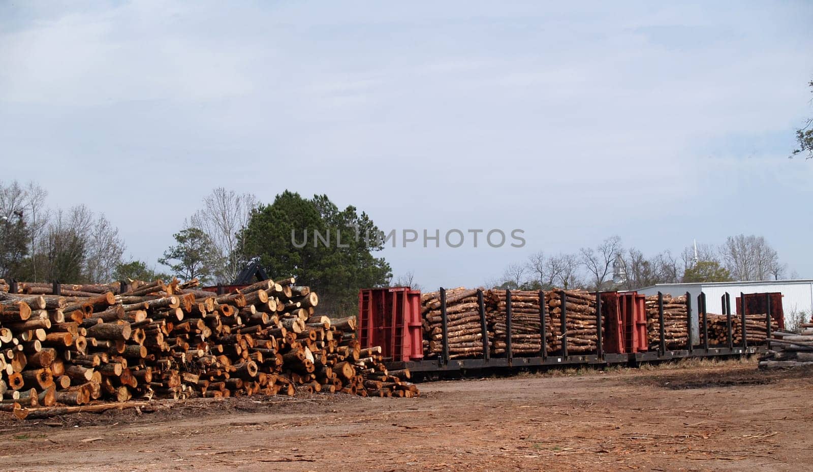 Stack of cut trees waiting to be loaded beside a loaded flatcar.