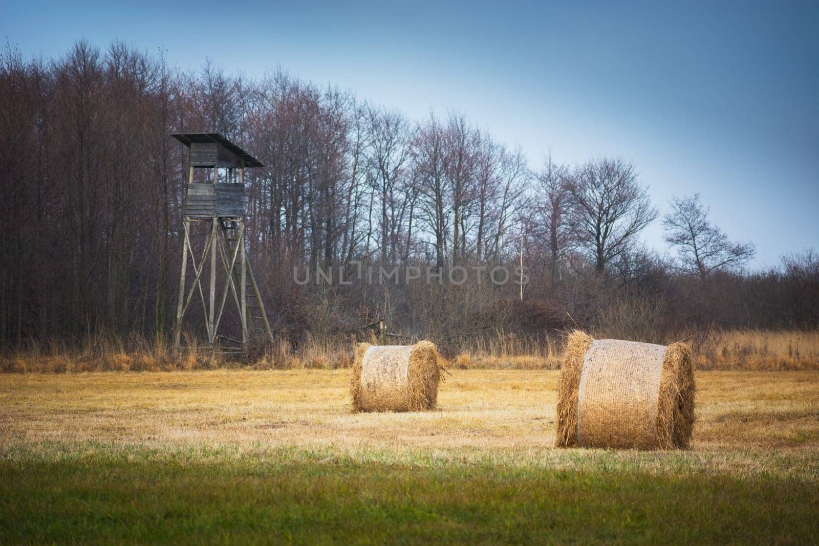 Bales of hay in the field next to the hunting pulpit by darekb22