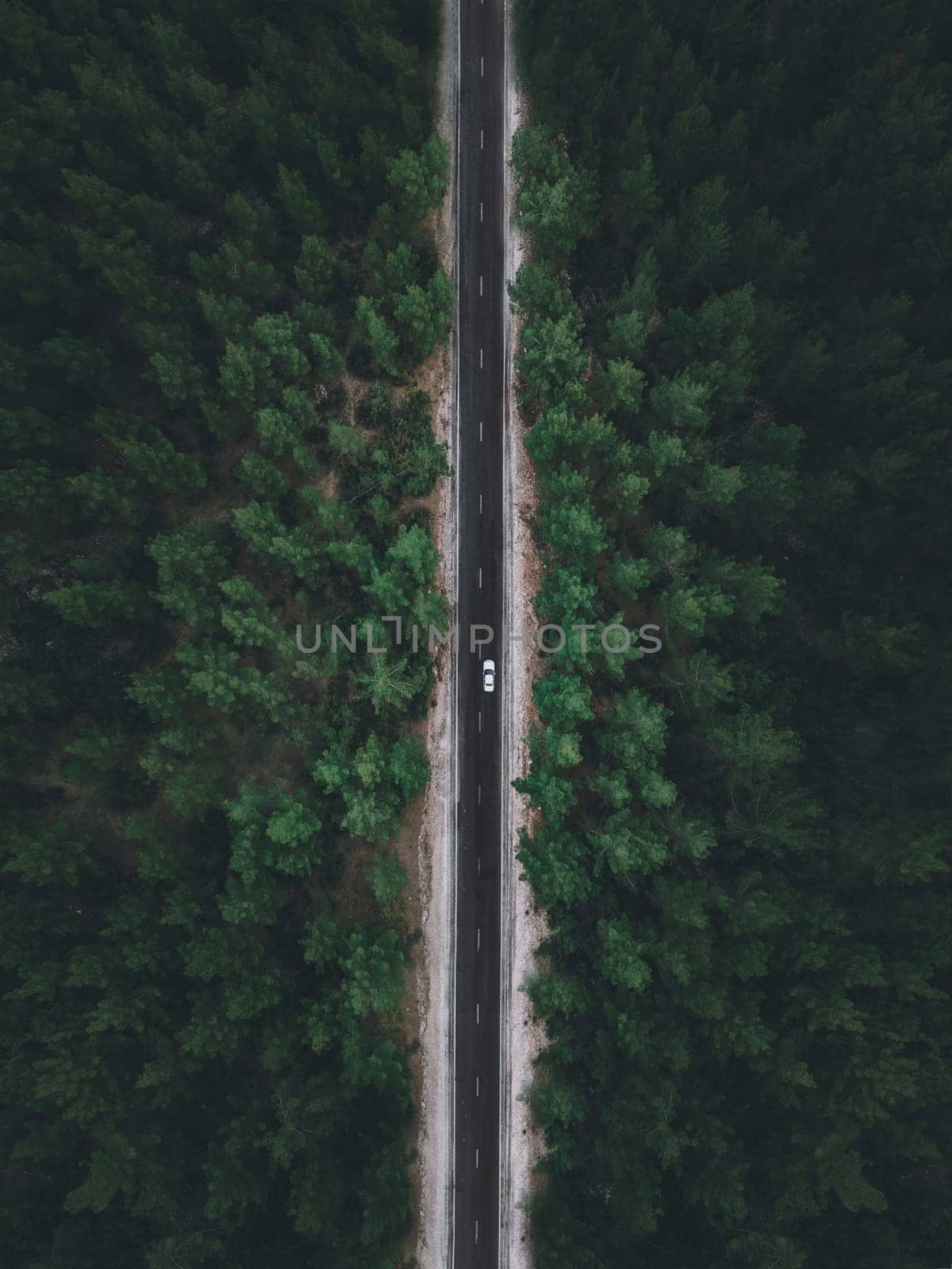 Aerial view taken by drone of a car driving on a forest road in autumn by Sonat