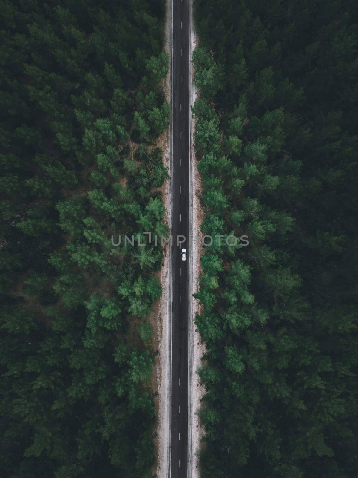 Aerial view taken by drone of a car driving on a forest road in autumn