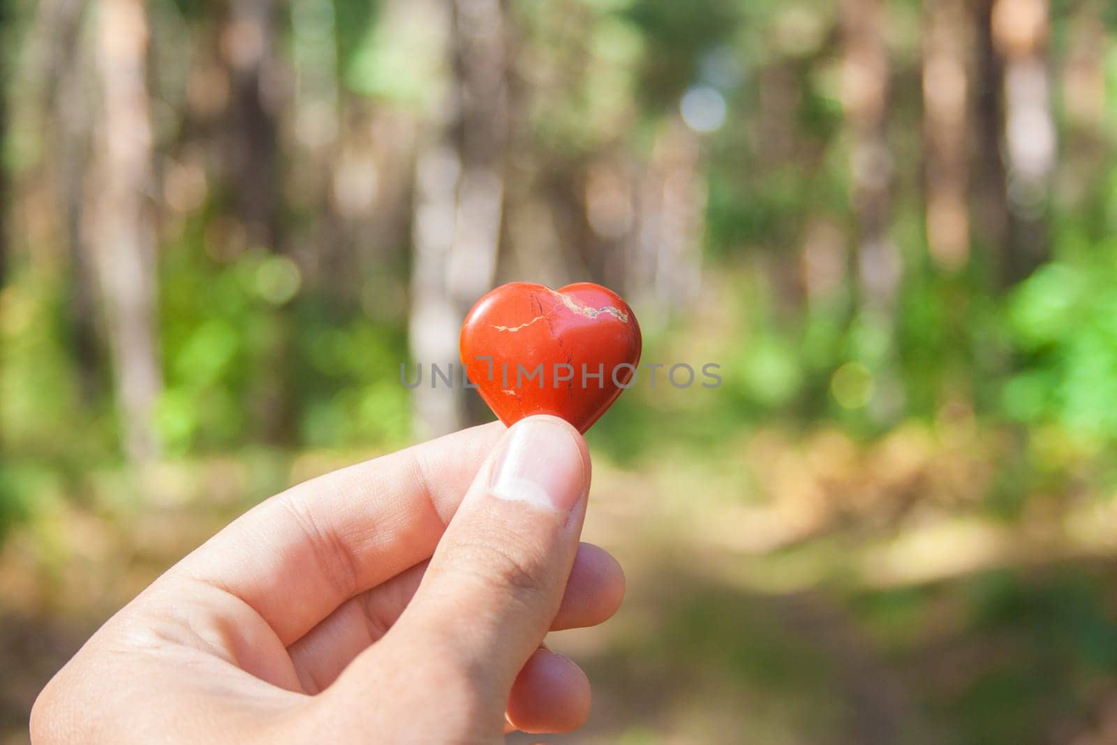 Little stone toy heart shape in man's hand on forest background by Quils