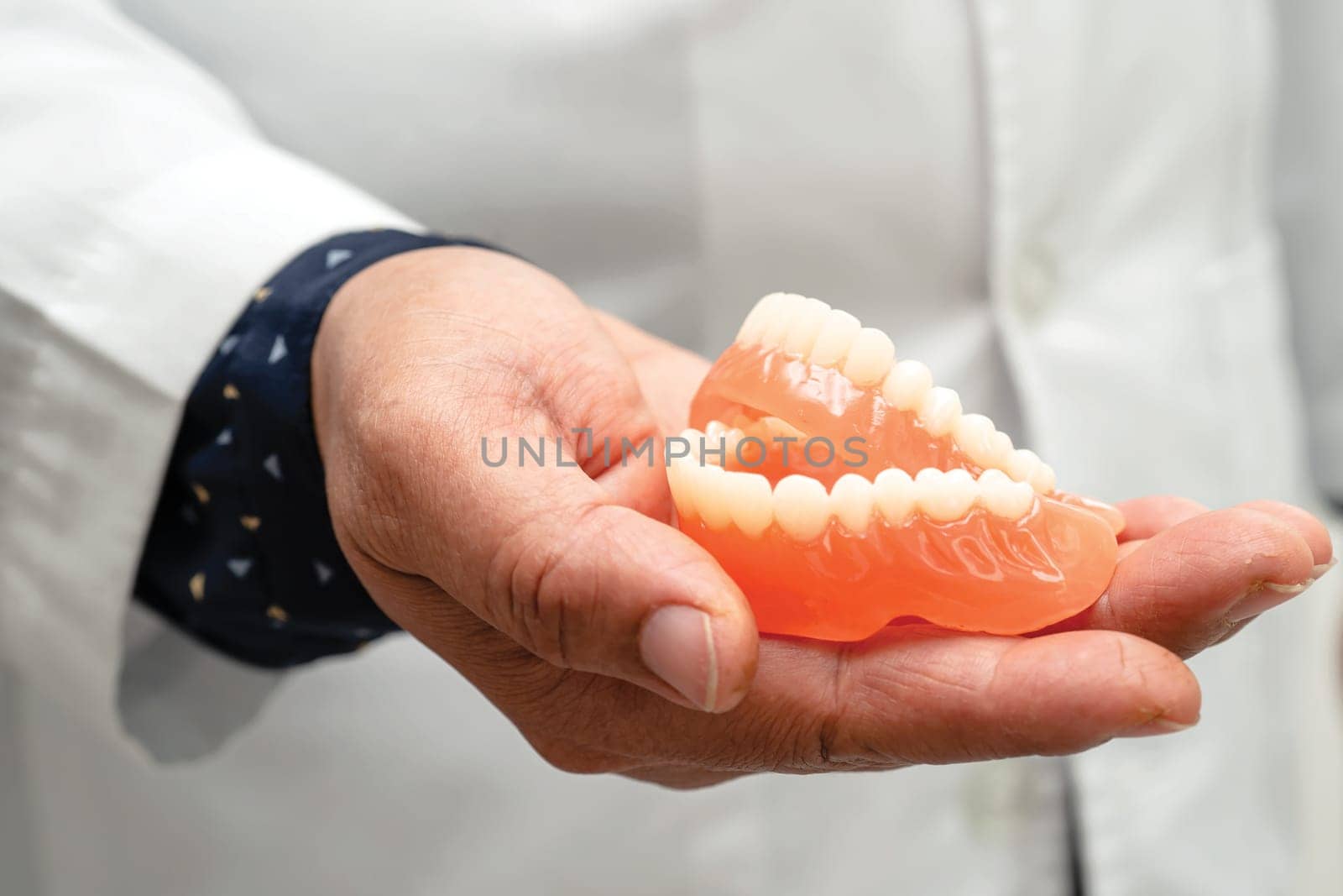 Denture, dentist holding dental teeth model to study and treat in hospital.