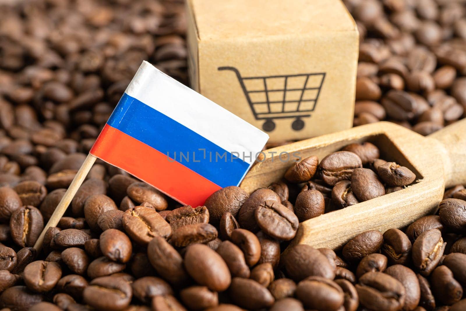 Russia flag on coffee bean, import export trade online commerce concept.