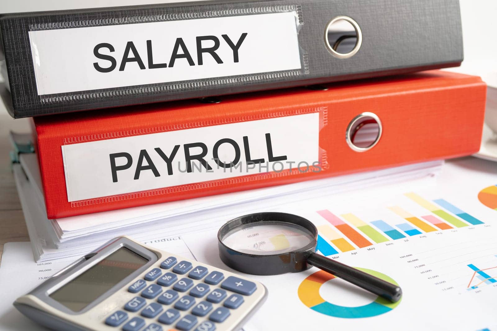 Salary Payroll. Binder data finance report business with graph analysis in office.