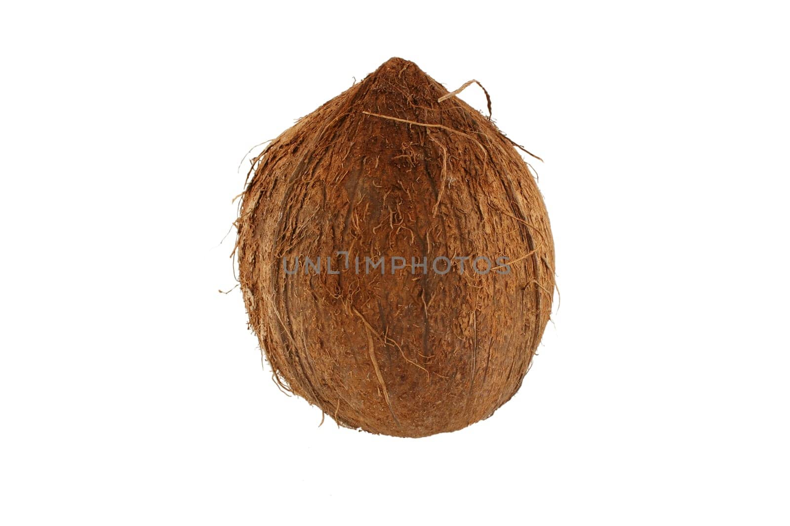 A Isolated coconut on white background