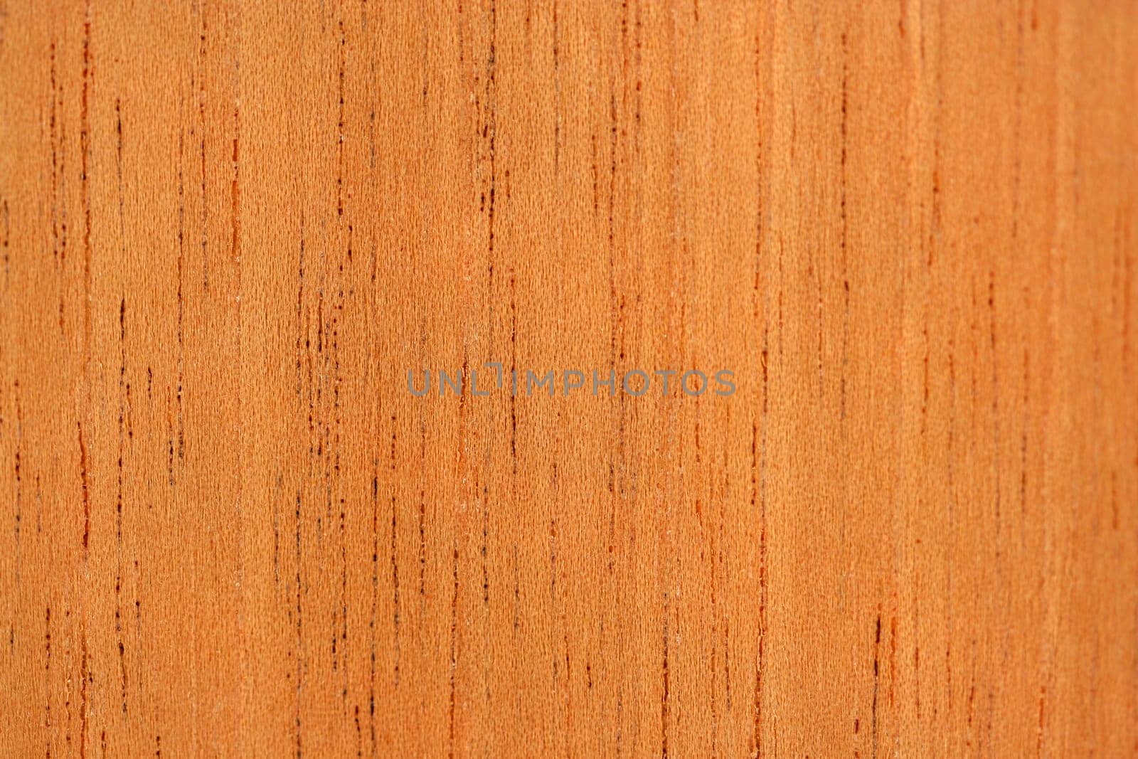A Cedar macro texture abstract background