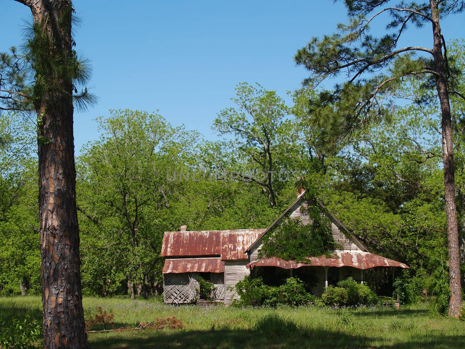 Old weathered, abandoned, historic home in south Georgia with a tin roof that is close to falling down.