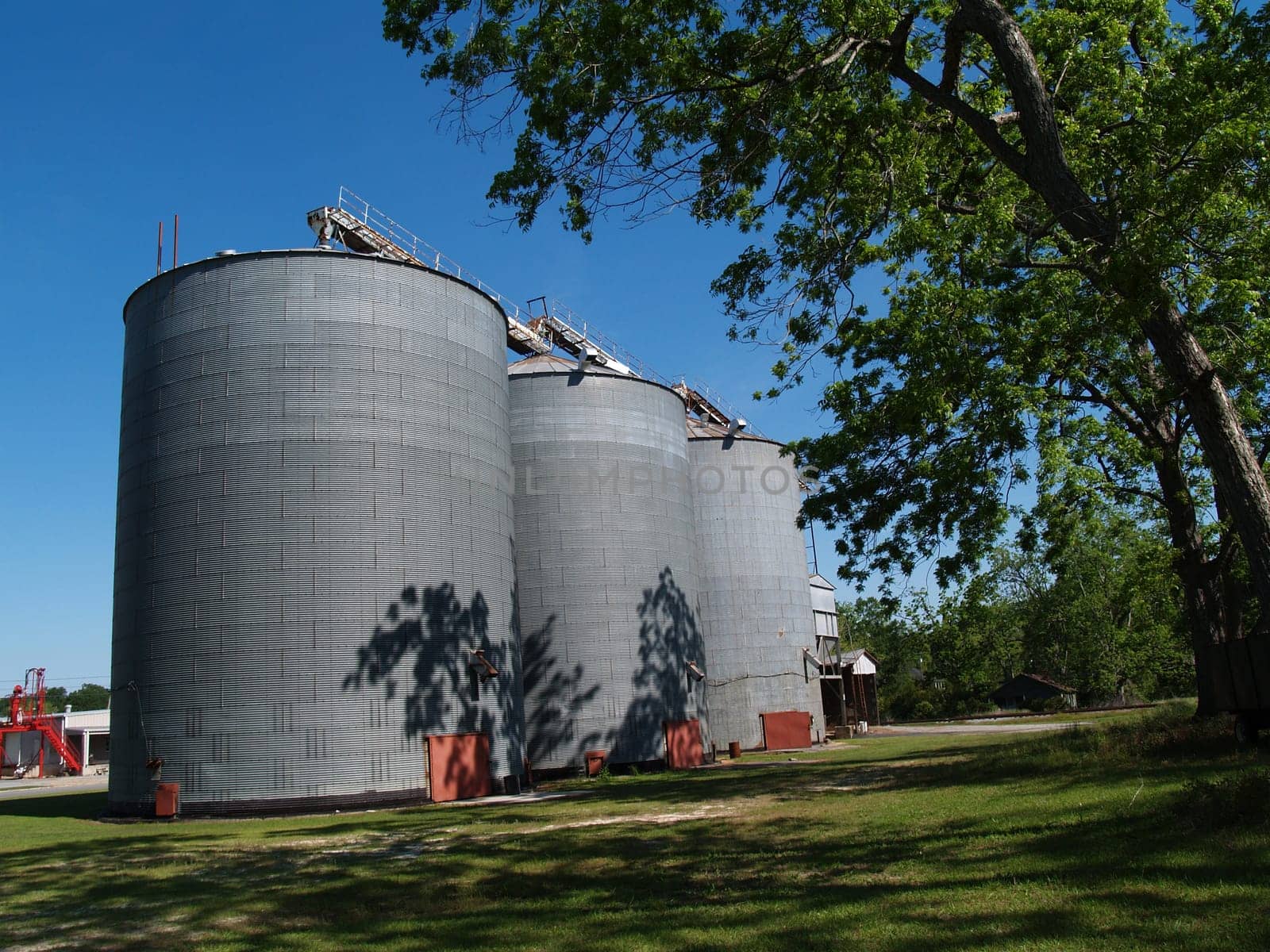 Three large grain silos beside a mature pecan grove in south Georgia.