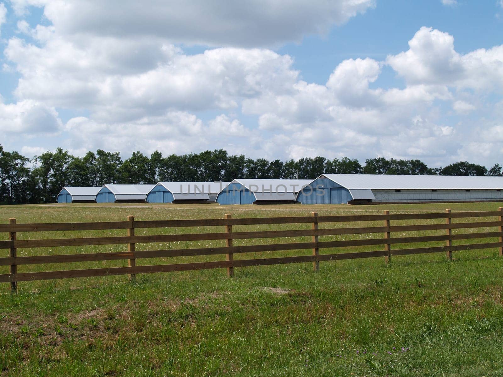 Farm buildings found in rural Georgia behind a board fence.