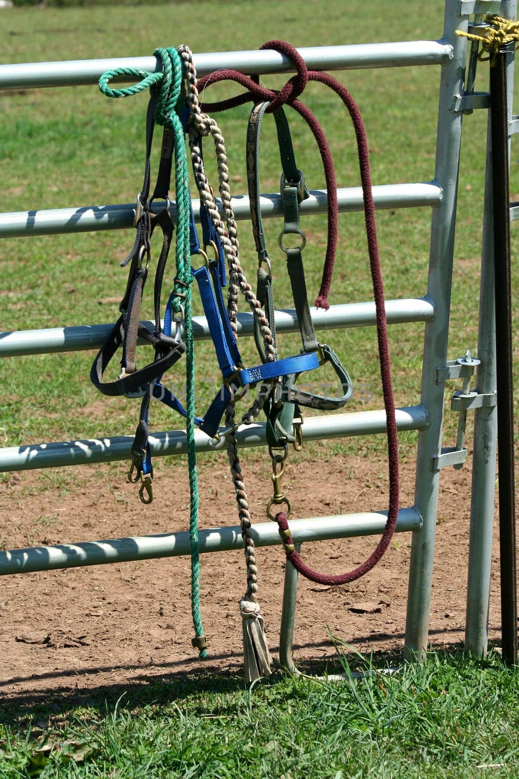 Some Horse bidels and ropes on a fence