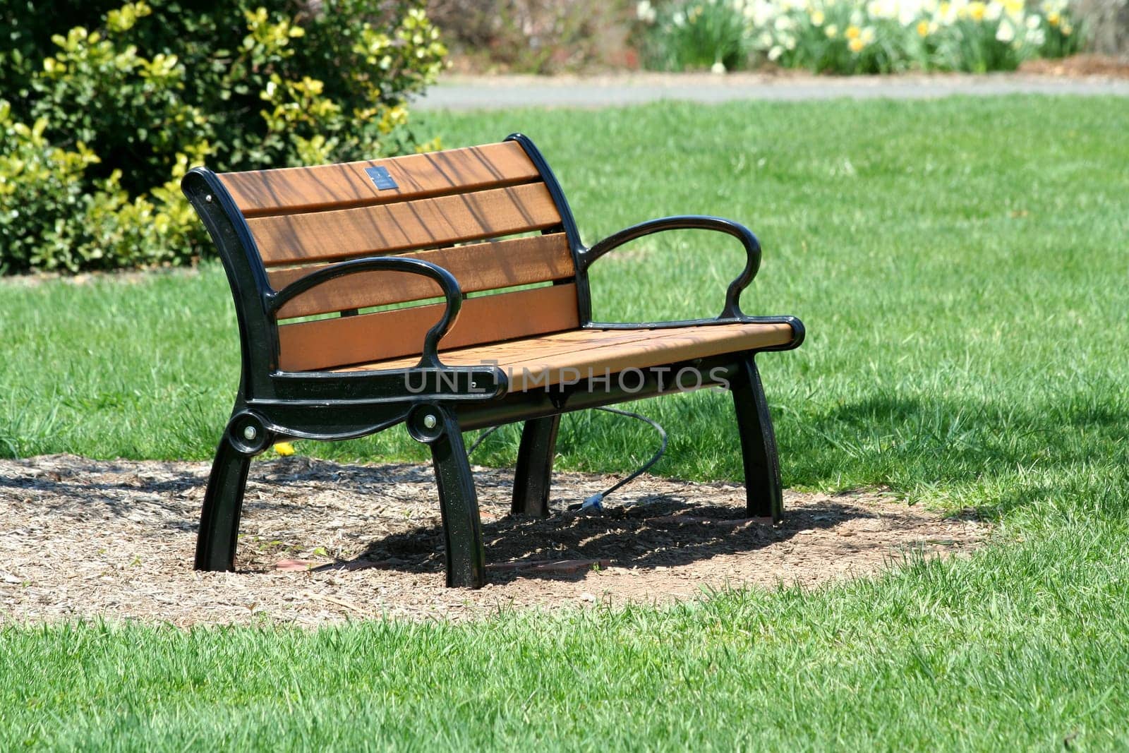 A Wooden bench in the park