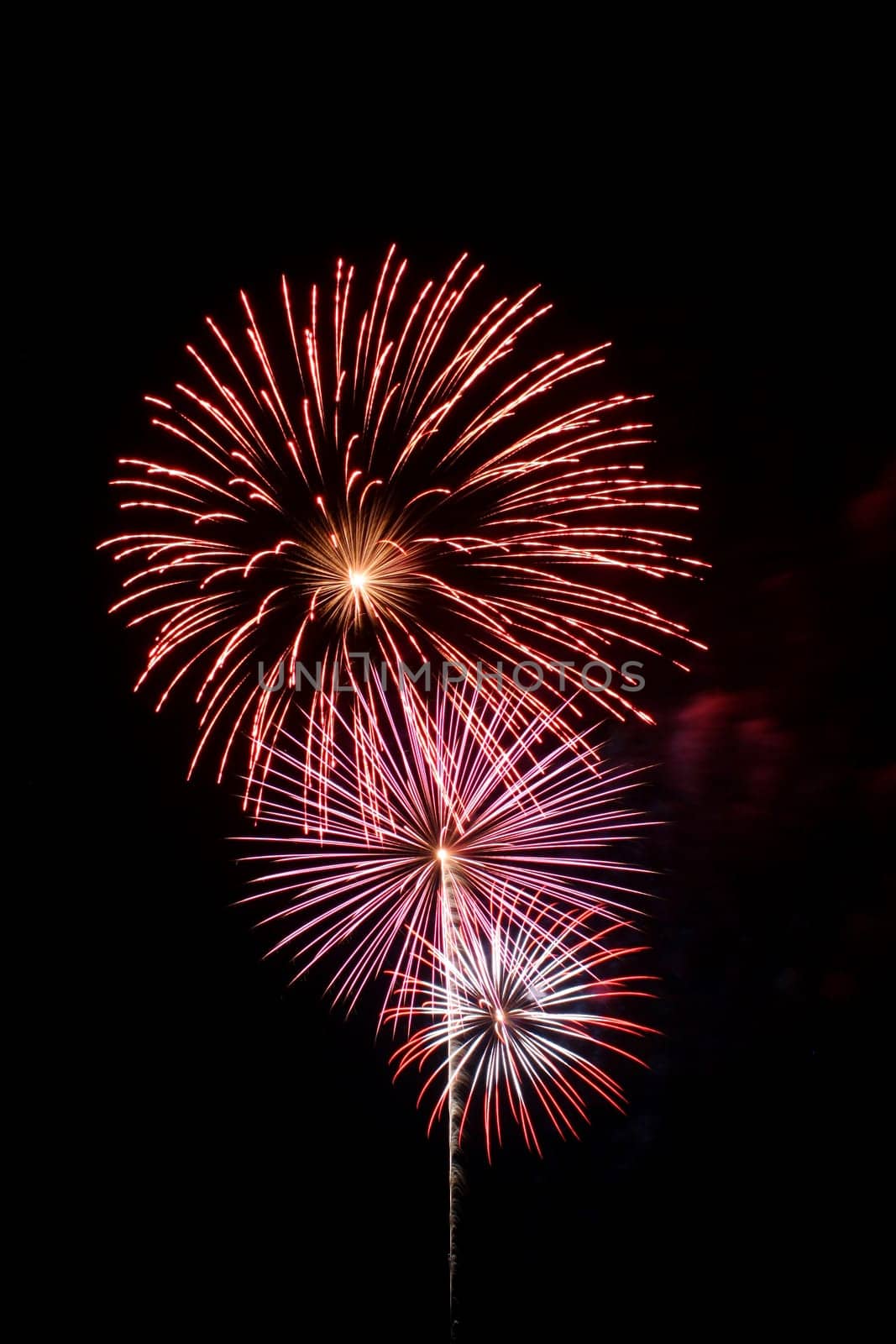 Some Colorful fireworks against a black sky