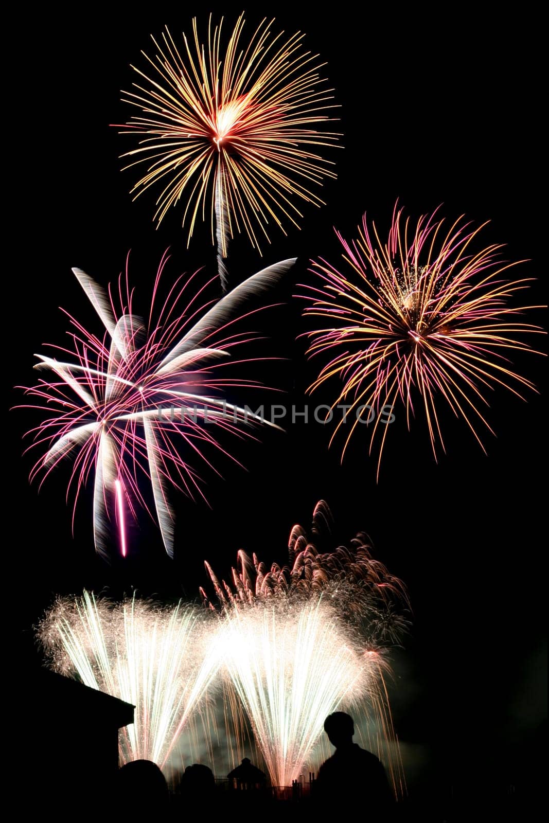 Some Colorful fireworks with silhouette in foreground