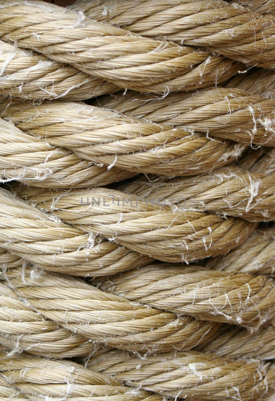 A Wound up rope macro backround