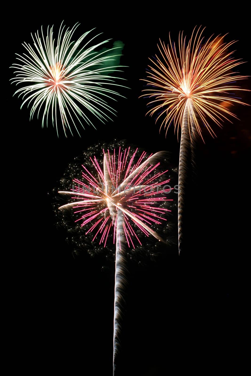 Some Colorful fireworks against a black sky