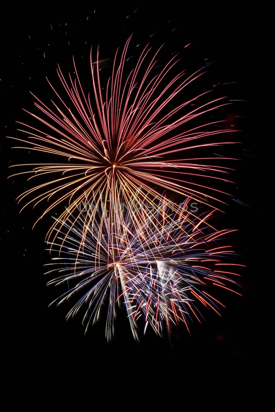 Some Colorful fireworks against a black sky