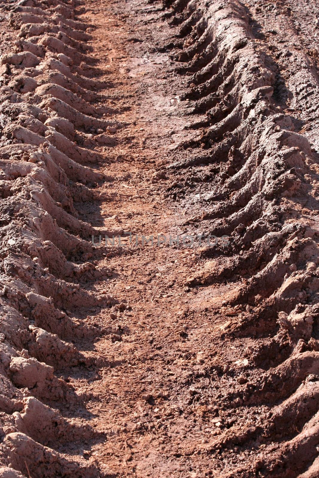a tire track in the mud