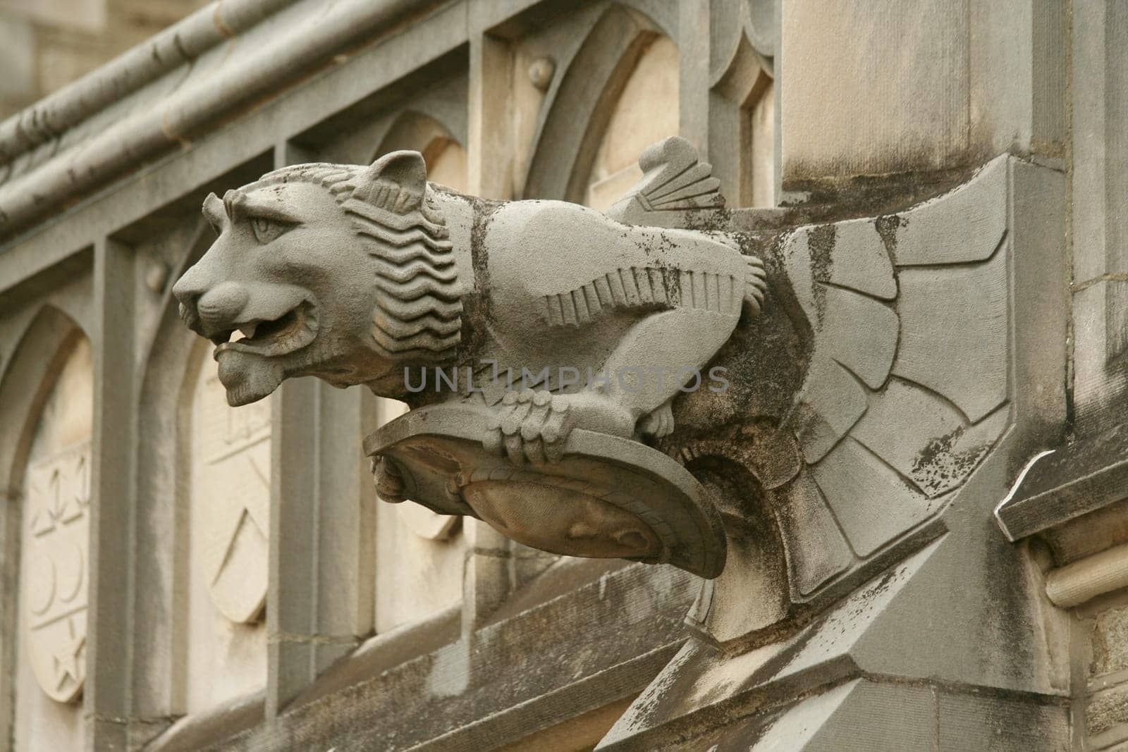 A gargoyle on a building in Princeton NJ