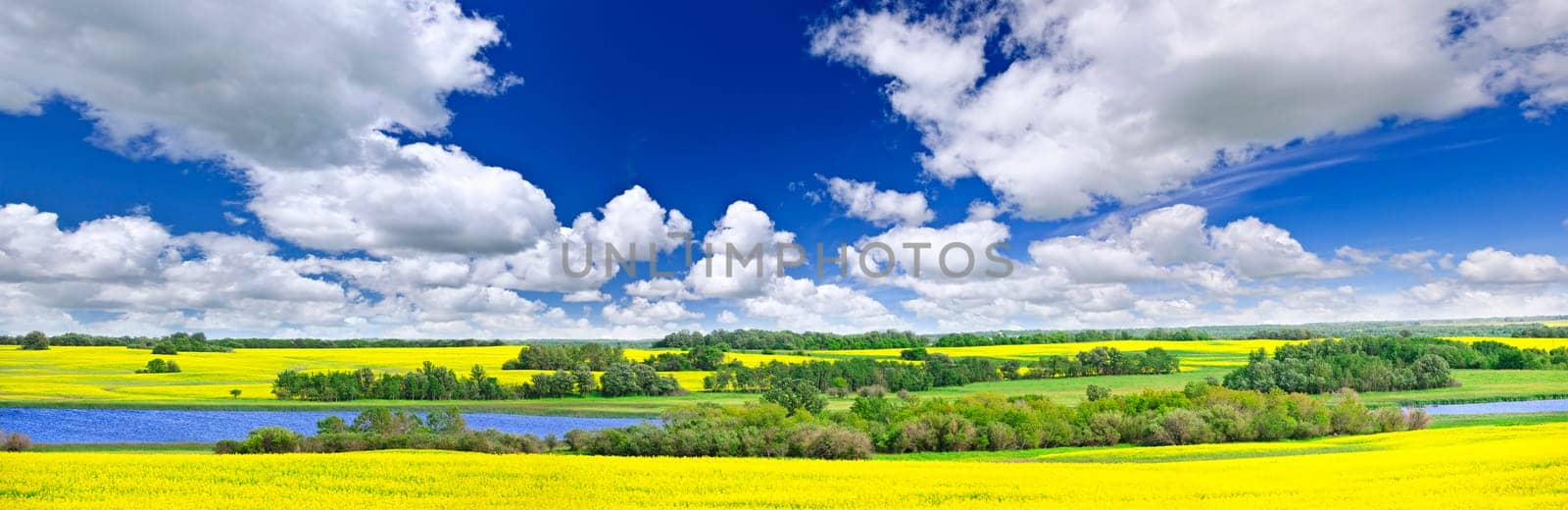 Panoramic landscape prairie view of canola field and lake in Saskatchewan, Canada