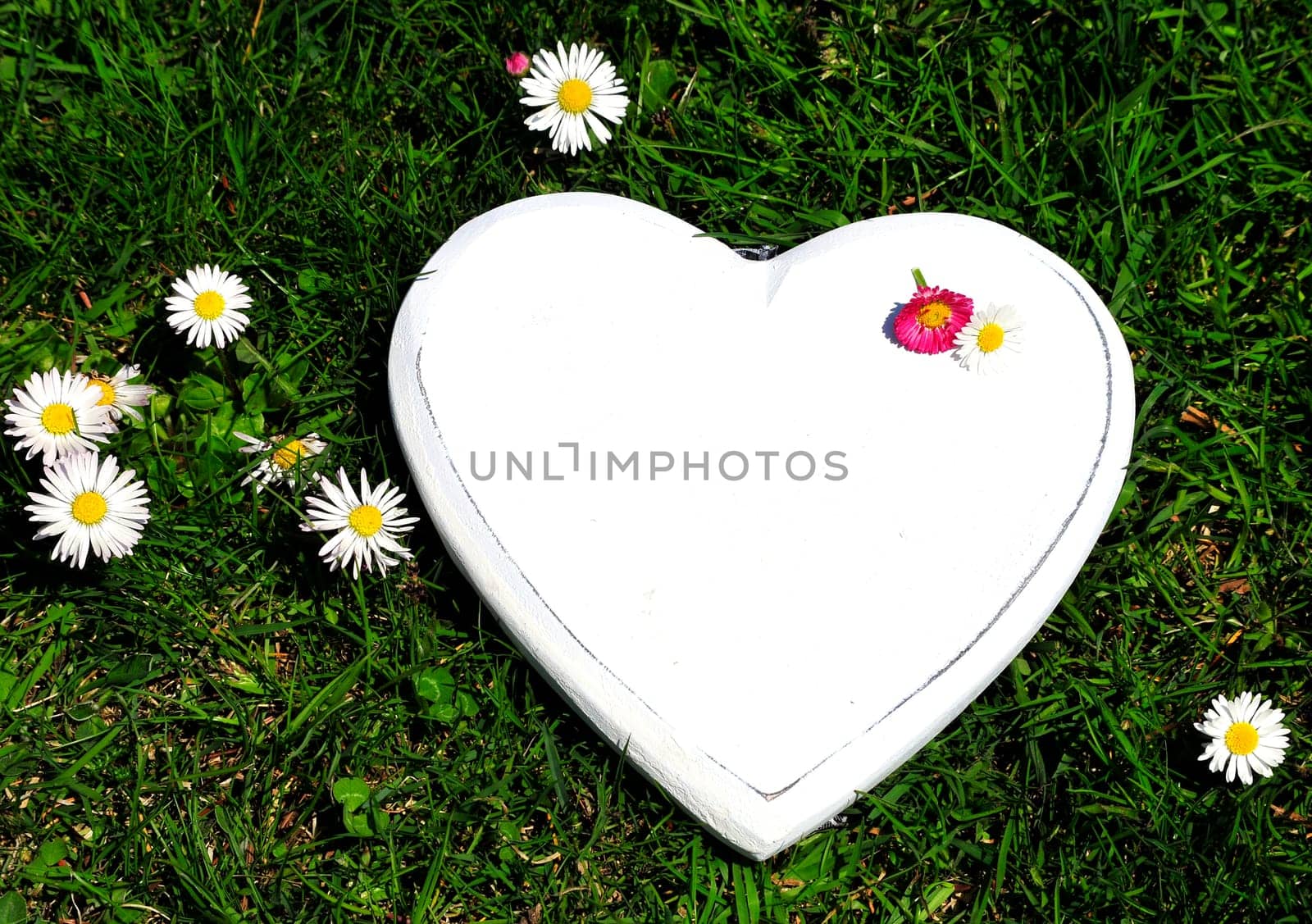 Heart Wood Natural