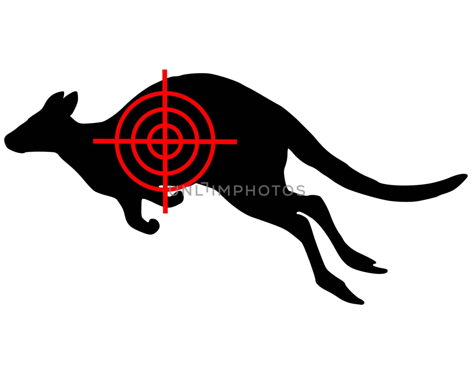 Kangaroo Reticle