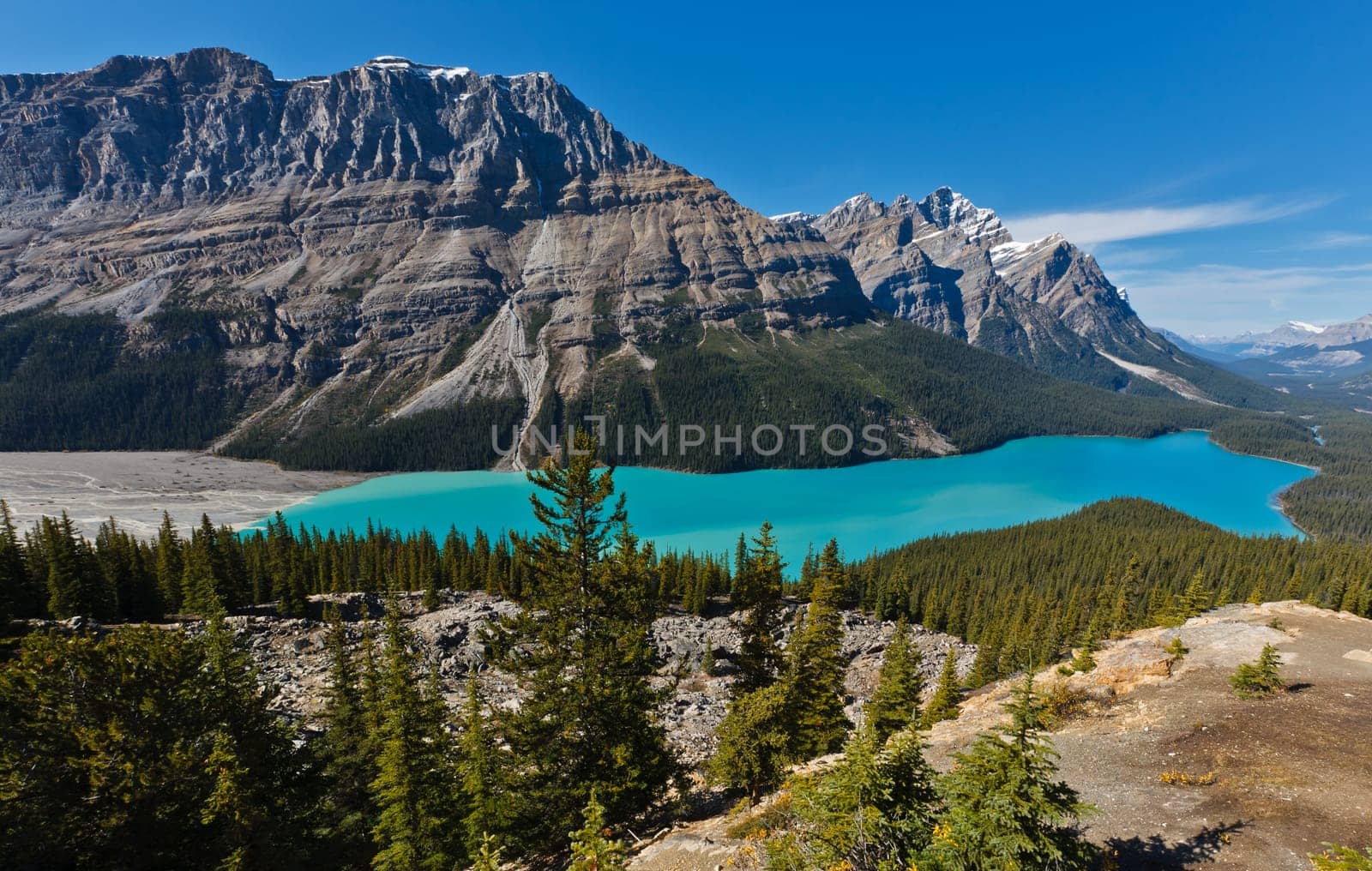 Peyto Lake, Icefields Parkway, Banff National Park, Canadian Rockies, Alberta, Canada