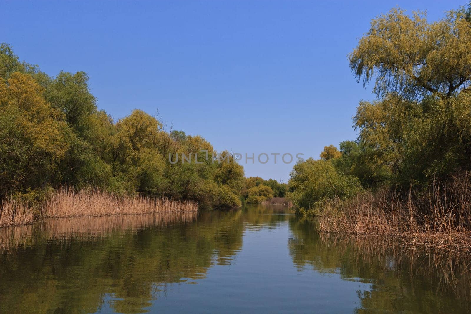 a river channel in the Danube Delta, Romania