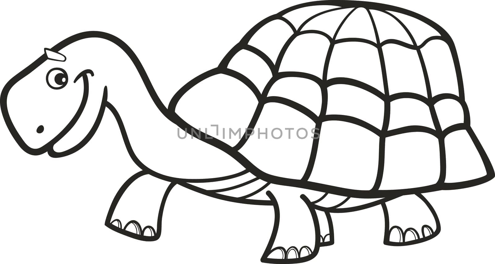 Illustration of cartoon turtle for coloring book