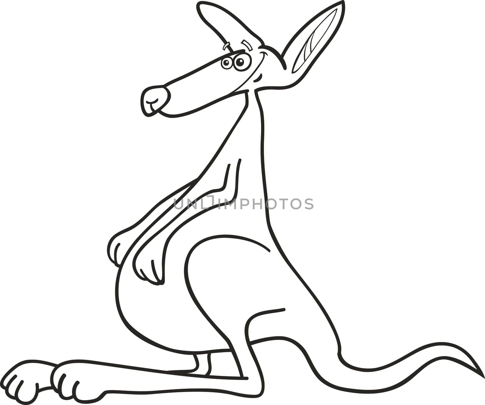 illustration of funny australian kangaroo for coloring book