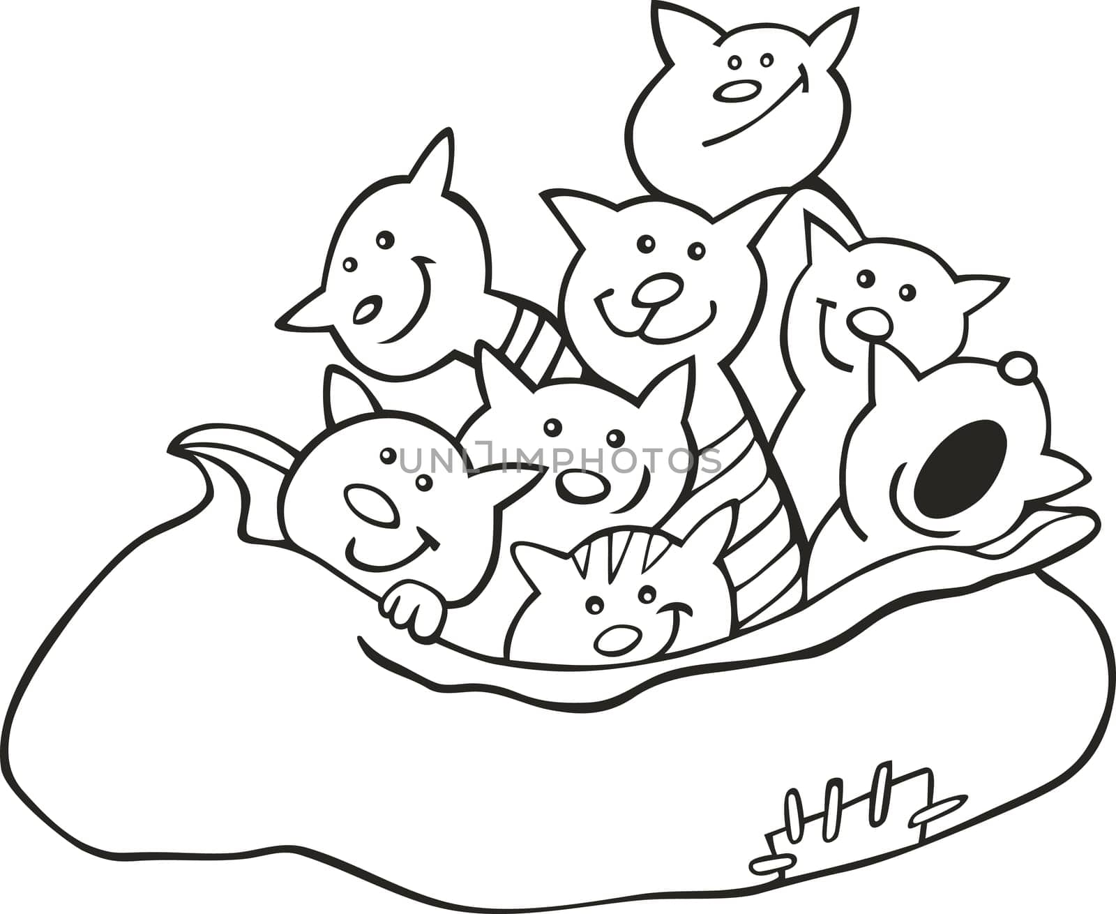 Cartoon illustration of cats in big sack for coloring book